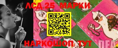 гашик Будённовск