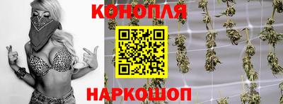 гашик Будённовск