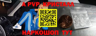 гашик Будённовск