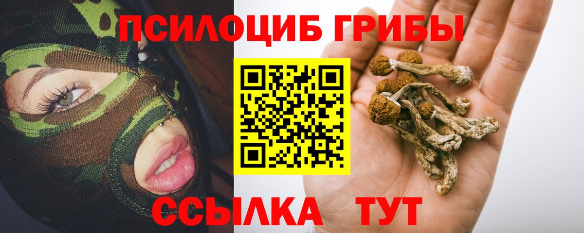 Галлюциногенные грибы MAGIC MUSHROOMS  Вход с VPN  Ростов Великий 